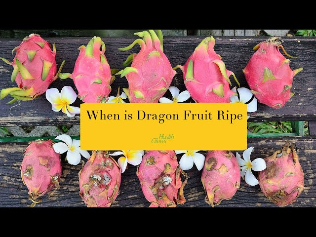 3 ways to tell if a dragon fruit is ripe