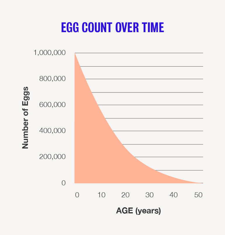 how many eggs do i have left calculator