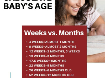 how old is my baby in weeks calculator