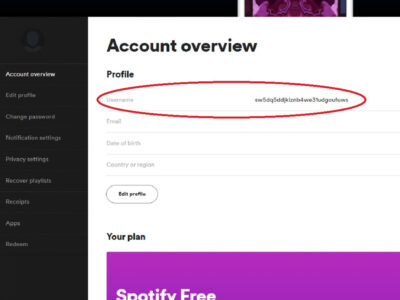 how to change my spotify username