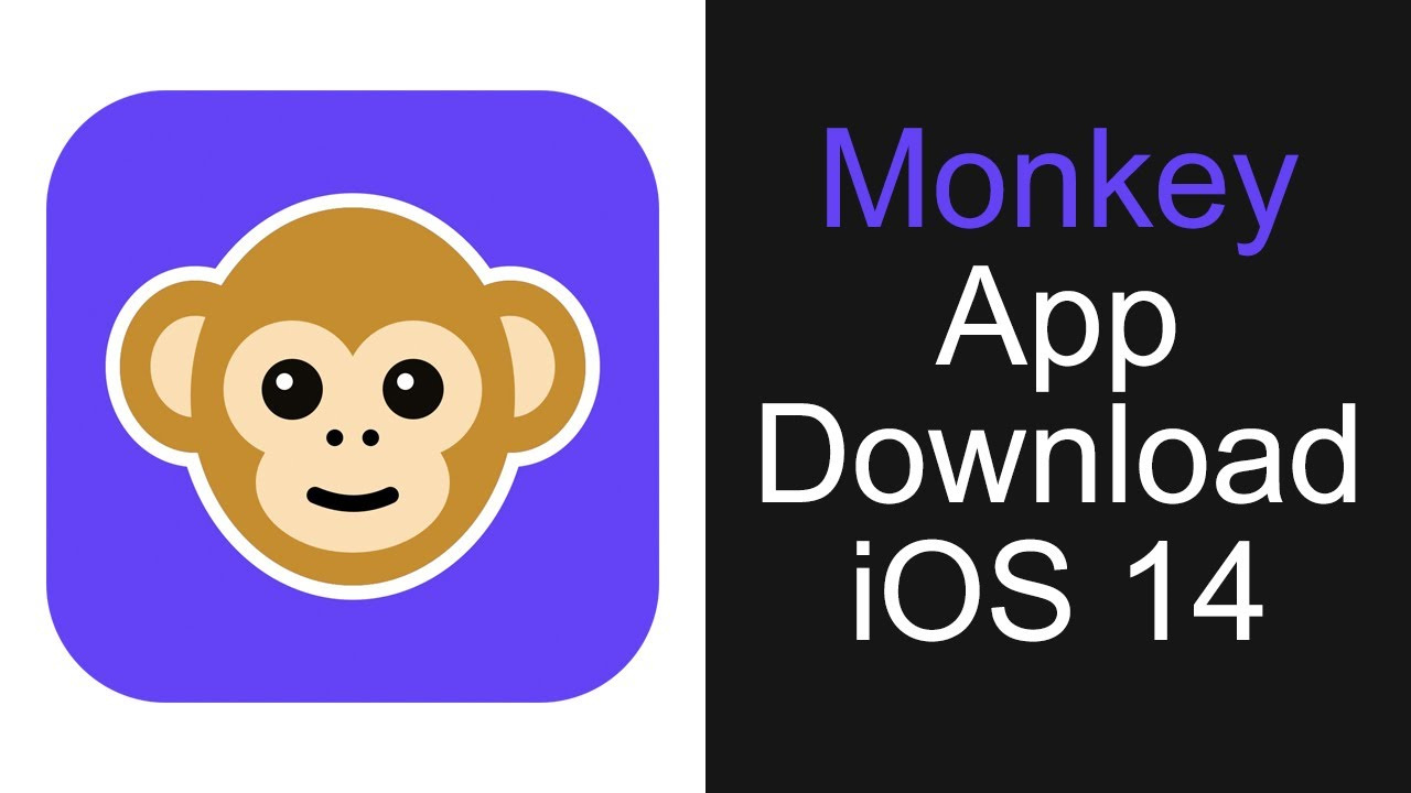 how to download monkey app