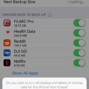 how to permanently delete text messages on iphone