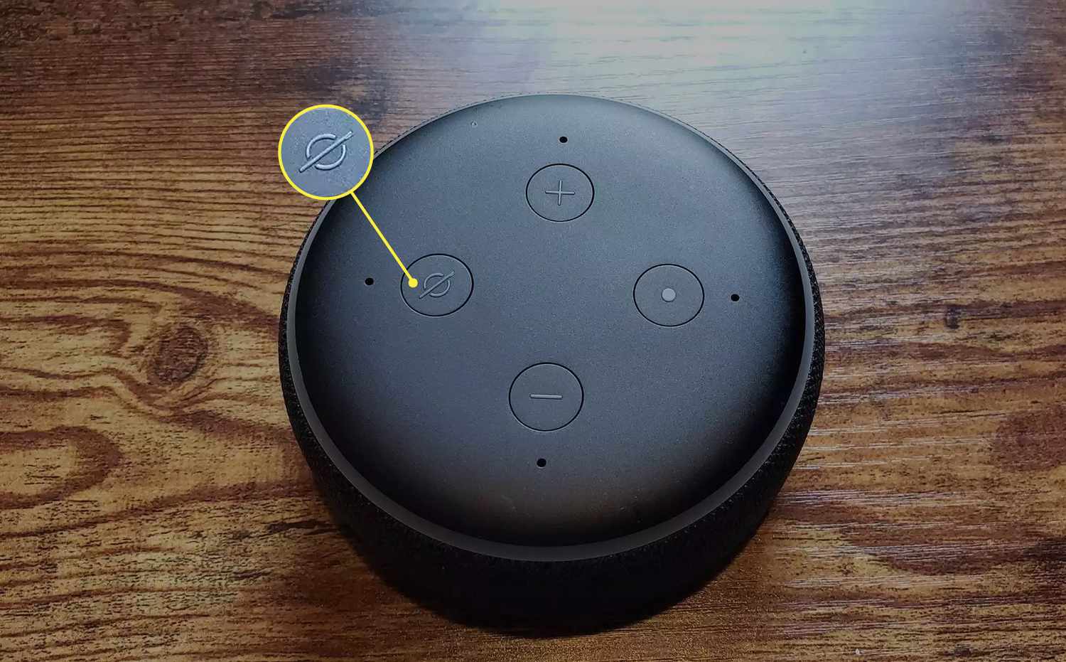 how to turn off an echo dot