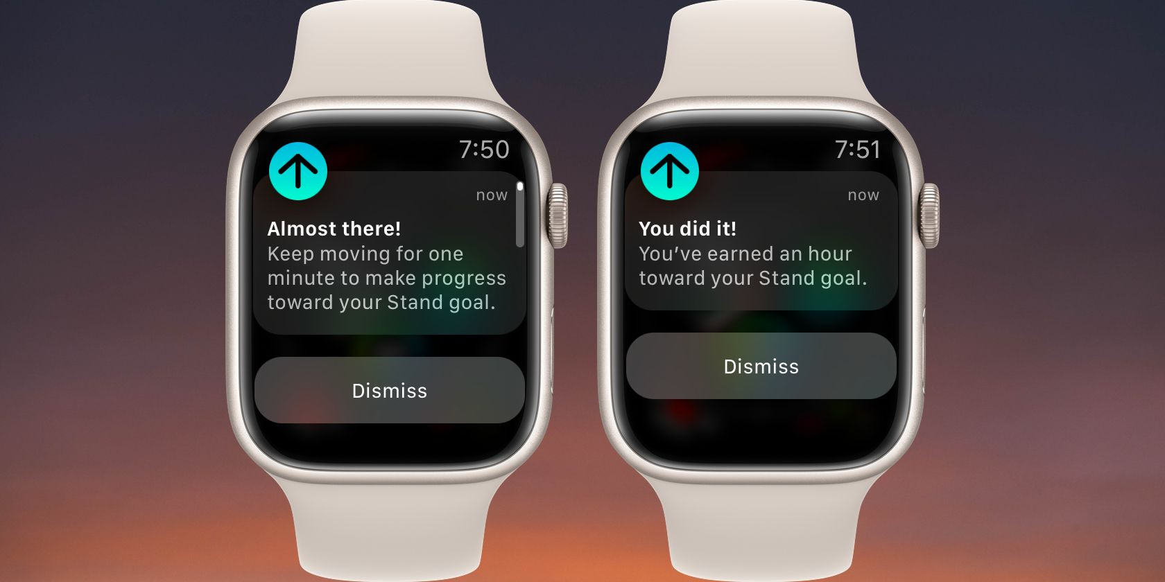 how to turn off time to stand notifications on an apple watch