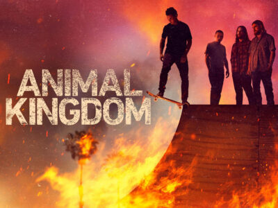 how to watch animal kingdom season 6